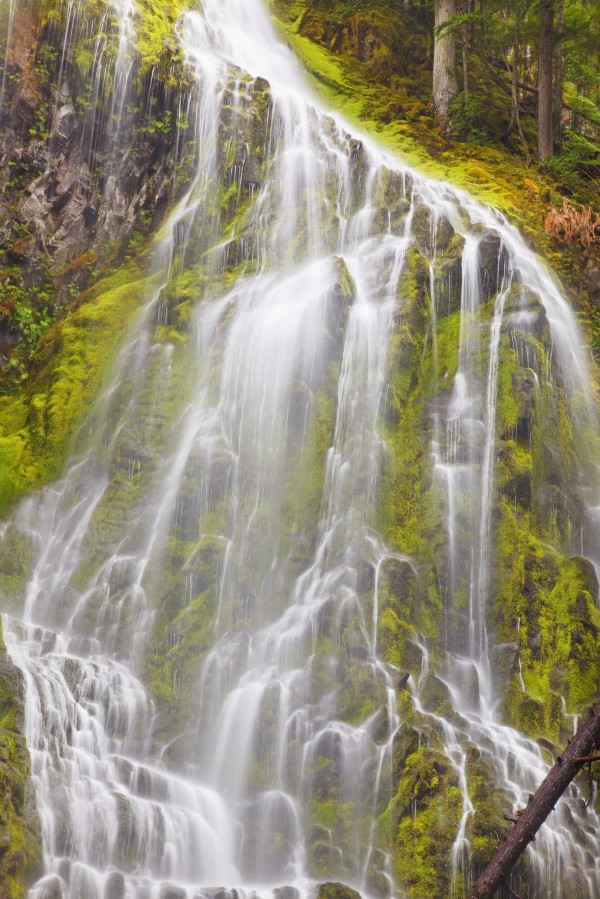 Proxy Falls In Willamette National Forest; Oregon, United States of America by PacificStock