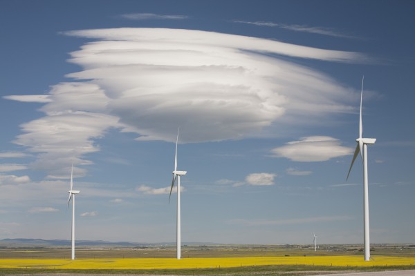 Dramatic Clouds With Blue Sky And Wind Mills In A Flowering Canola Field; Alberta, Canada by PacificStock