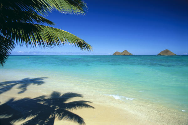Hawaii, Oahu, Lanikai Beach With Calm Turquoise Water, Mokulua Islands Background Palm Fronds And Shadow Foreground by PacificStock