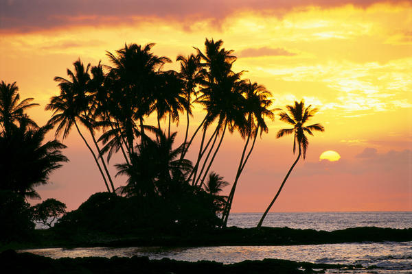 Hawaii, Big Island, Wailua Bay, View Of Palm Trees At Sunset, Calm Ocean Waters by PacificStock