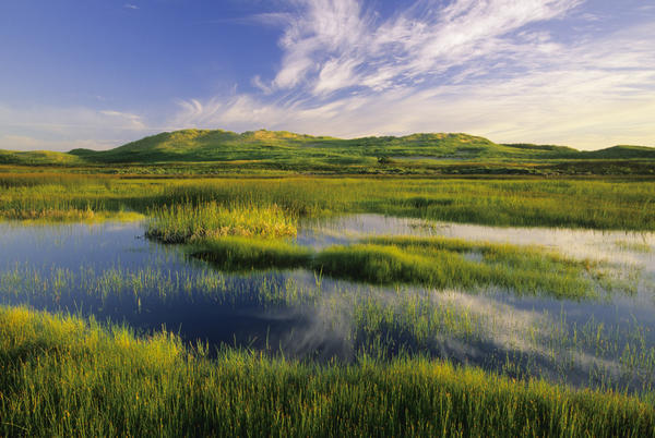 Dune Pond, Brackley, Prince Edward Island National Park by PacificStock