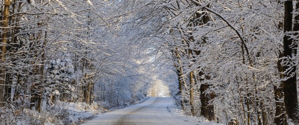 Tree Lined Road In Winter; East Hill, Quebec, Canada by PacificStock