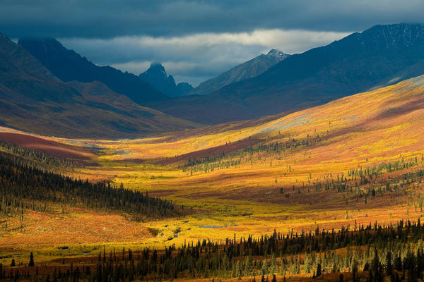 North Klondike River Valley, Tombstone Territorial Park, Yukon by PacificStock