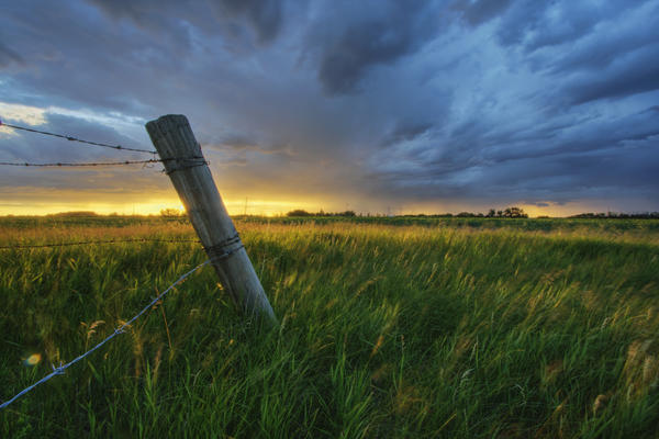 Summer Thunderstorm And Fencepost On A Wheat Farm North Of Edmonton, Alberta. by PacificStock
