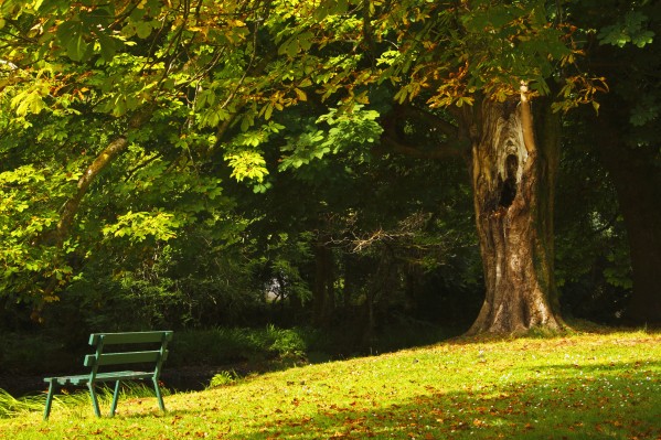 Park Bench Beside The Owenriff River In Oughterard Village; County Galway, Connacht Region, Ireland by PacificStock