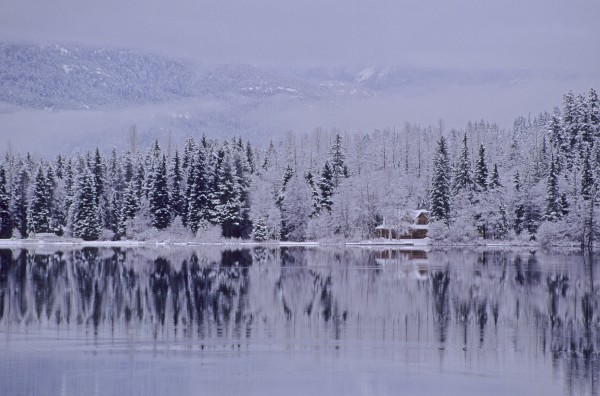 Early Winter Snow Greys The Trees, Reflection In Lake, Alta Lake, Whistler, B.C. by PacificStock
