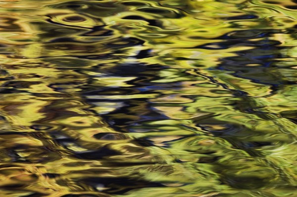 Oak And Maple Trees Reflections In Water. Autumn. by PacificStock