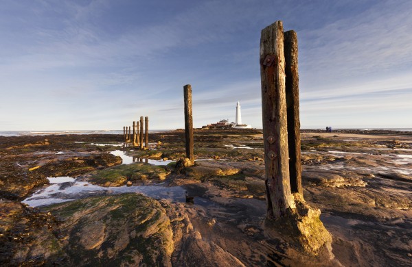 Wooden Posts At The Water's Edge With A Lighthouse In The Distance At Whitley Bay; Northumberland, England by PacificStock