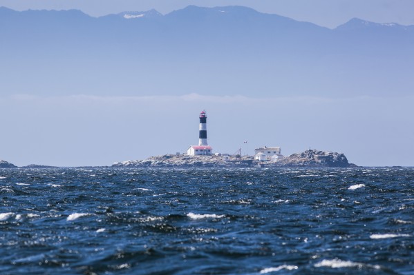 Race rocks lighthouse is situated on the juan de fuca strait near the southern tip of vancouver island;British columbia canada by PacificStock