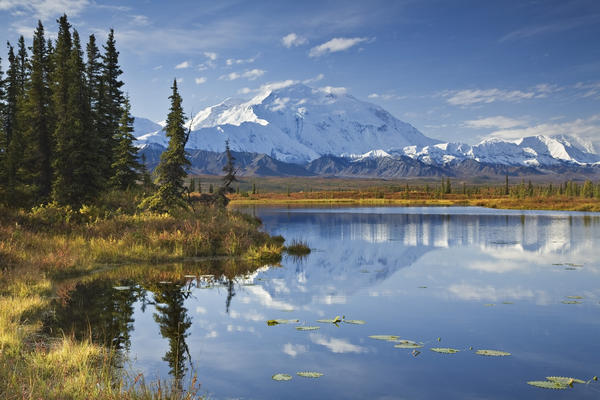 The North Face And Peak Of Mt. Mckinley Is Reflected In A Small Tundra Pond In Denali National Park, Alaska by PacificStock