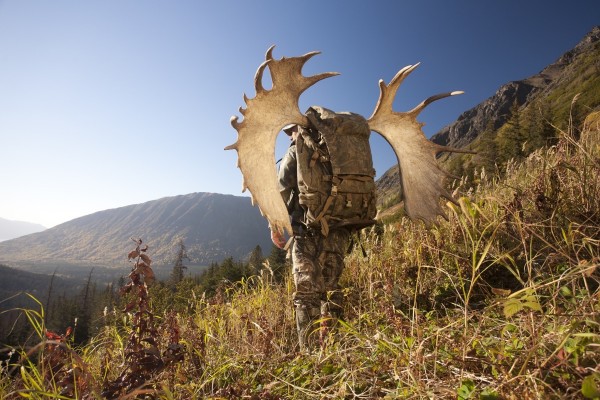 Male Moose Hunter Stops To Enjoy The View As He Hikes Out Of Hunt Area With Trophy Moose Antler On His Pack, Bird Creek Drainage Area, Chugach Mountains, Chugach National Forest, Southcentral Alaska, Autumn by PacificStock