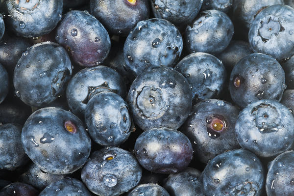 Close up shot of several fresh blueberries. by PacificStock