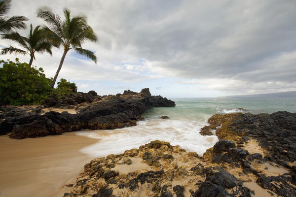 Hawaii, Maui, Makena Cove, Tropical beach and palm trees. by PacificStock