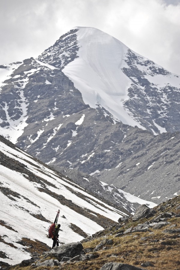 Backcountry Skier Hikes With Pack And Skis Up The Katak Creek Valley, Brooks Range, Anwr, Arctic Alaska, Summer by PacificStock