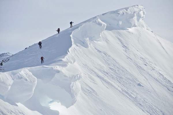 Backcountry Skiers On The Ridge Of Pms Bowl In Turnagain Pass, Chugach National Forest Southcentral Alaska, Winter by PacificStock