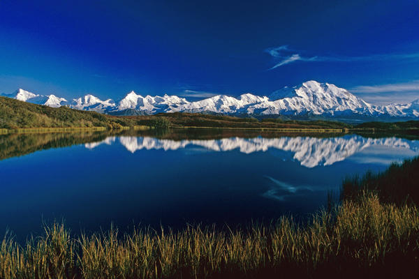 Mt Mckinley Relfected In Wonder Lake Denali National Park Alaska Summer by PacificStock