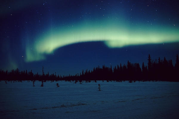 Northern Lights Over Black Spruce Forest During Winter In Southcentral Alaska by PacificStock