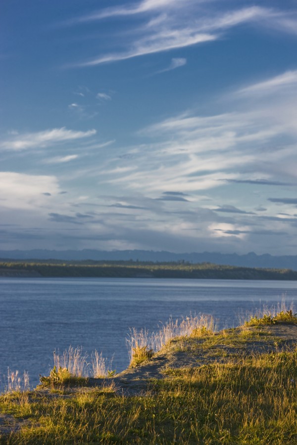 The Bluff Along The Tony Knowles Coastal Trail With Knik Arm Below, Southcentral Alaska, Summer by PacificStock