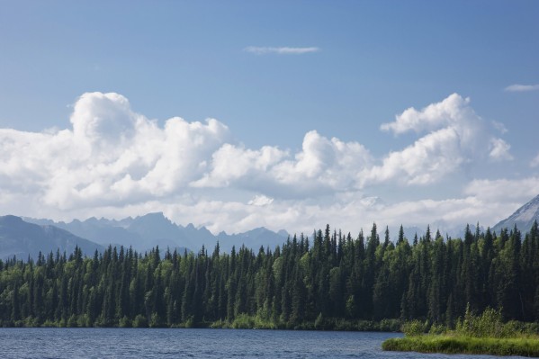 View Of The Alaska Range From Byers Lake, Summer, Denali State Park, Southcentral Alaska by PacificStock
