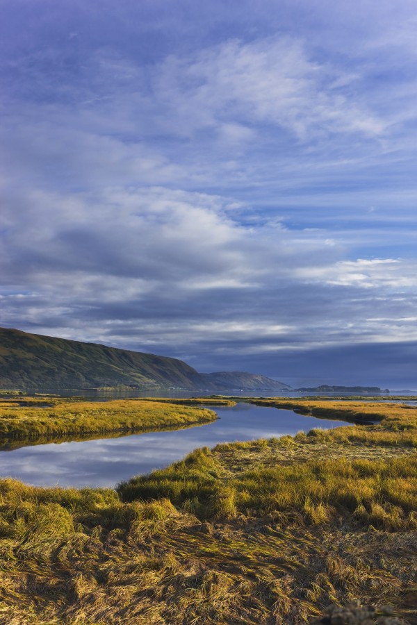 Scenic View Of Tidal Slough Along Womens Bay, Kodiak Island, Southwest Alaska, Fall by PacificStock
