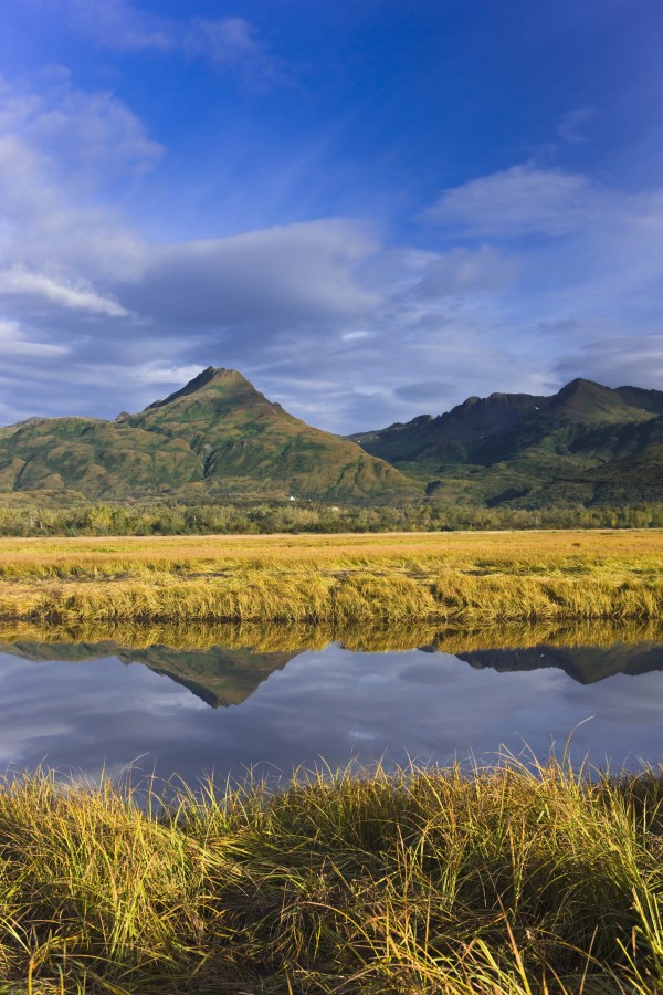 Tidal Slough And Mountain Scenic Along Womens Bay, Early Morning, Kodiak Island, Alaska, Usa. by PacificStock