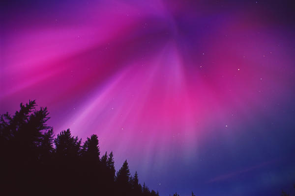 Aurora Corona Over Crow Creek Girdwood During Winter In Southcentral Alaska by PacificStock
