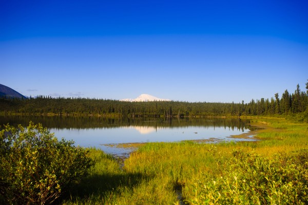 Mount Sanford Reflecting In Twin Lakes, Wrangell Saint Elias National Park, Southcentral Alaska, Summer by PacificStock