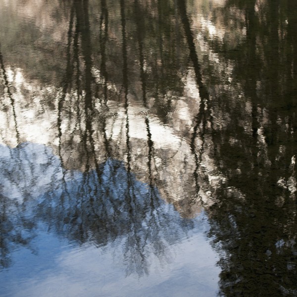 Reflection of trees and a mountain peak in the water;Chamonix-mont-blanc rhone-alpes france by PacificStock