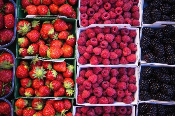 Berries in boxes at a food market;Sault vaucluse provence france by PacificStock