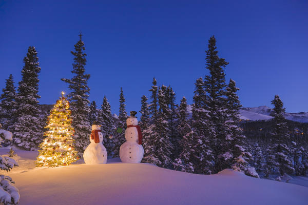 Two Snowmen Exchanging Gifts Standing Next To A Christmas Tree In Front Of A Snowcovered Spruce Forest At Twilight;Anchorage Alaska Usa by PacificStock