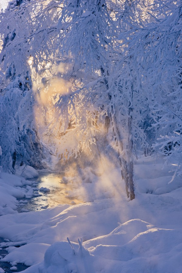 Small stream in a hoar frost covered forest with rays of sun filtering through the fog in the background russian jack springs park;Anchorage alaska united states of america by PacificStock
