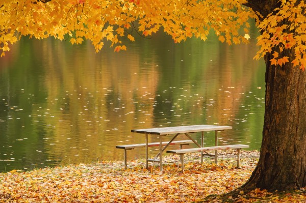 A picnic table beside a tranquil lake with golden leaves on the trees in autumn, shawnee state park;Ohio, united states of america by PacificStock