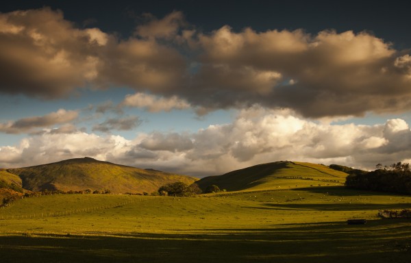 Clouds casting shadows on a hilly landscape with sheep grazing on the hillside;Northumberland england by PacificStock