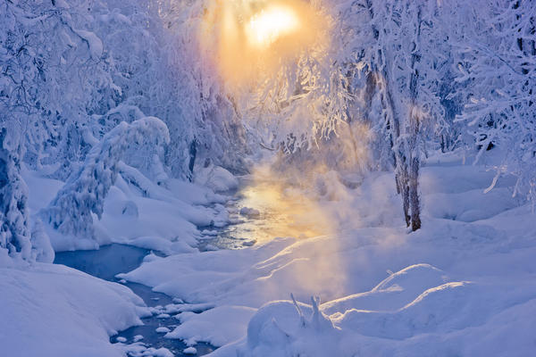 Small Stream In A Hoarfrost Covered Forest With Rays Of Sun Filtering Through The Fog In The Background, Russian Jack Springs Park, Anchorage, Southcentral Alaska. Digitally Enhanced. by PacificStock