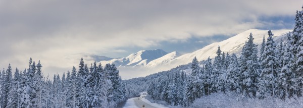 Clouds Clearing Over Seward Highway From The Kenai Mountains Above Turnagain Pass After A Winter Snow Storm, Fresh Snow In The Trees, Early Morning Sun, Turnagain Pass, Chugach National Forest, Southcentral Alaska, Usa. by PacificStock