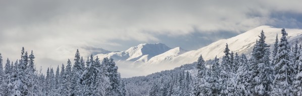 Clouds Clearing From The Kenai Mountains Above Turnagain Pass After A Winter Snow Storm, Fresh Snow In The Trees, Early Morning Sun, Turnagain Pass, Chugach National Forest, Southcentral Alaska, Usa. by PacificStock