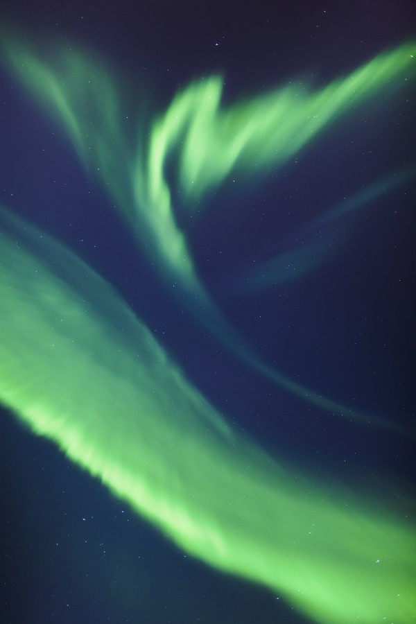 A green northern lights corona in the sky above the tony knowles coastal trail in winter;Anchorage alaska united states of america by PacificStock