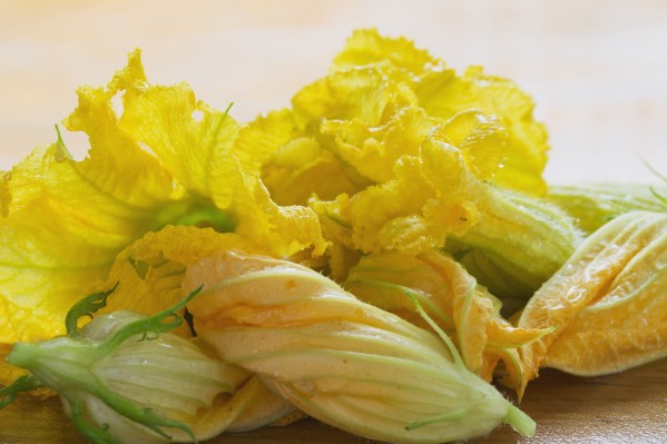 Close Up Of Zucchini Blossoms With Water Drops On Wooden Cutting Board; Calgary, Alberta, Canada by PacificStock