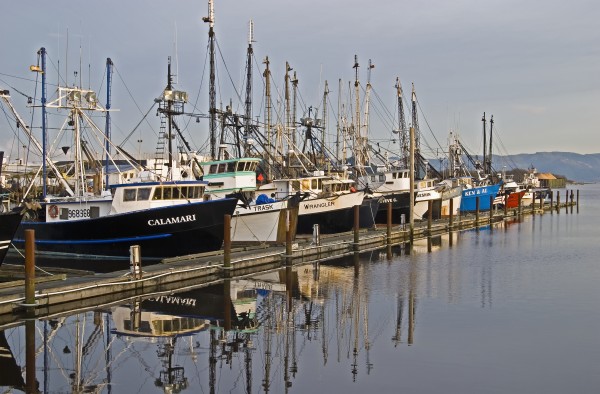 Commercial fishing boats dock in the Warrenton boat mooring basin on the Columbia River; Warrenton, Oregon, United States of America by PacificStock