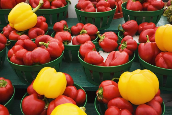 Green plastic baskets with organic red and yellow bell peppers (Capsicum annuum) for sale at an outdoor market, Byward Market; Ottawa, Ontario, Canada by PacificStock