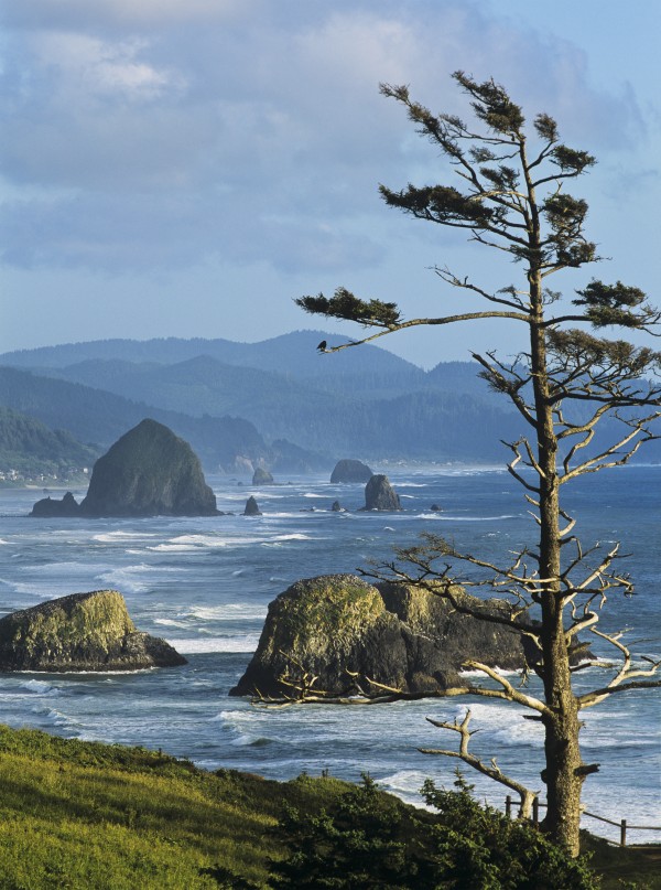 Haystack Rock viewed from Ecola Point; Cannon Beach, Oregon, United States of America by PacificStock