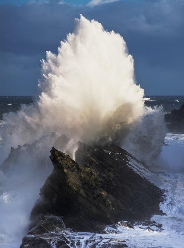 Surf erupts on the rocks at Shore Acres State Park; Charleston, Oregon, United States of America by PacificStock