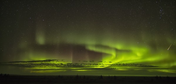 The aurora borealis and a shooting star above Hudson Bay; Manitoba, Canada by PacificStock