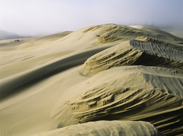 Sand patterns created by the wind; Lakeside, Oregon, United States of America by PacificStock