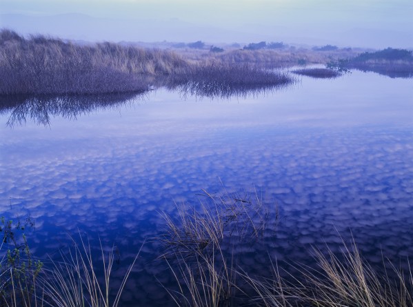 Clouds reflected in the deflection plain; Lakeside, Oregon, United States of America by PacificStock