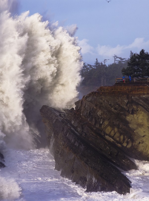 High surf breaks at Shore Acres State Park; Charleston, Oregon, United States of America by PacificStock