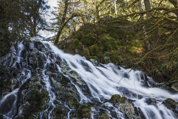 Fishhawk Falls, Lee Wooden County Park; Jewell, Oregon, United States of America by PacificStock