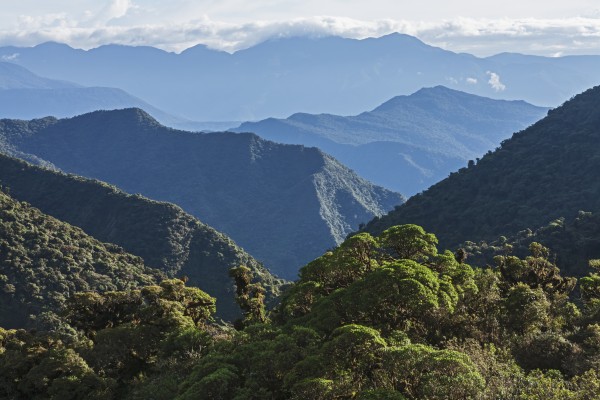 Mountain range east of Pojo; Cochabamba, Bolivia by PacificStock