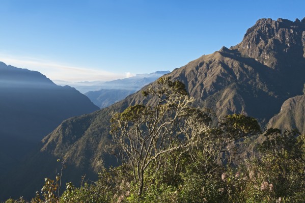 Mountain range in between the Altiplano and the Yungas near Coroico; Departamento La Paz, Bolivia by PacificStock