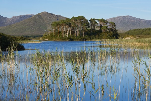 Derryclare Lough; Connemara, County Galway, Ireland by PacificStock